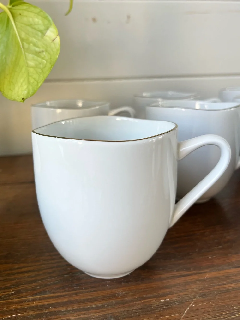 West Elm Organic white Porcelain Gold-Rimmed Mugs set of 8